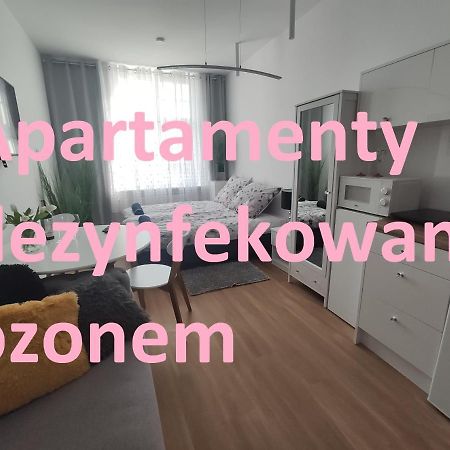 Apartament Elbląg GoodEnergy - Stare Miasto, Oldtown, Altstadt Zewnętrze zdjęcie
